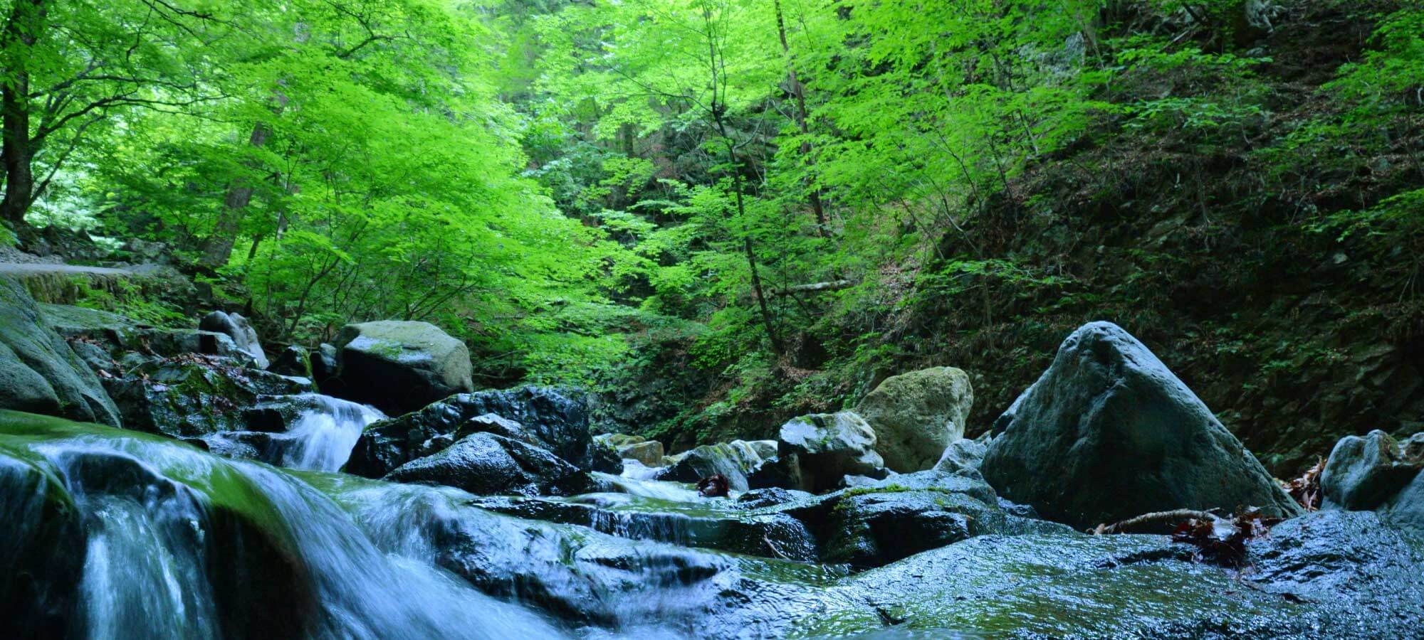 しおばらの自然